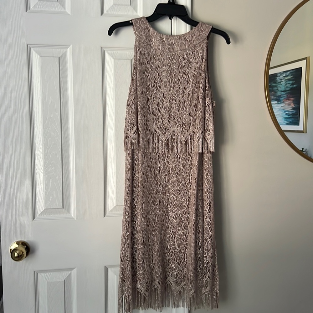 Metallic Fringe Dress